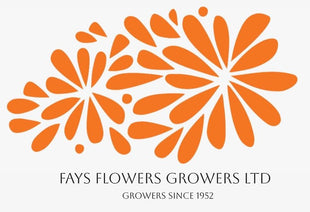 Fays Flowers